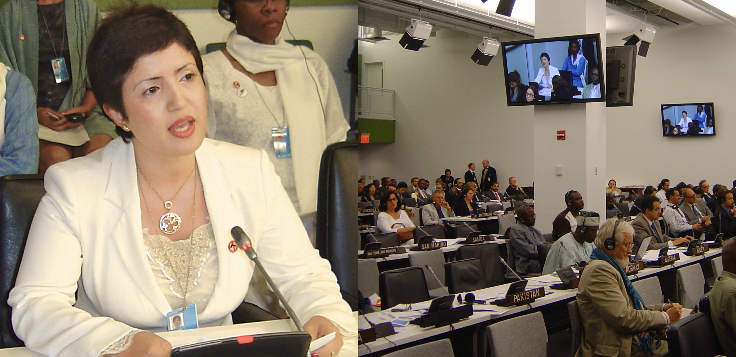 Dr. Widad Akreyi UN Disarmament Lobbying